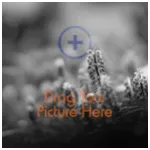 Prints 8x8, No Bleed