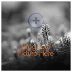 Prints 6x6, No Bleed