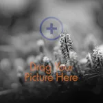 Scrapbookers (no grid)